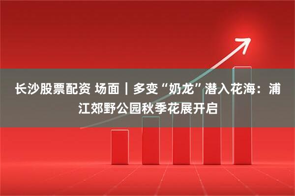 长沙股票配资 场面｜多变“奶龙”潜入花海：浦江郊野公园秋季花展开启